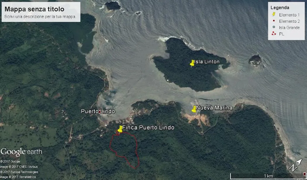 8-HECTARE JUNGLE PROPERTY FOR SALE NEAR ISLA GRANDE, COLÓN, PANAMA