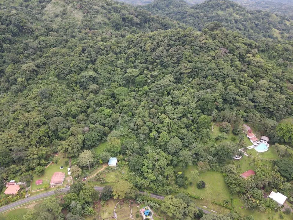 8-HECTARE JUNGLE PROPERTY FOR SALE NEAR ISLA GRANDE, COLÓN, PANAMA