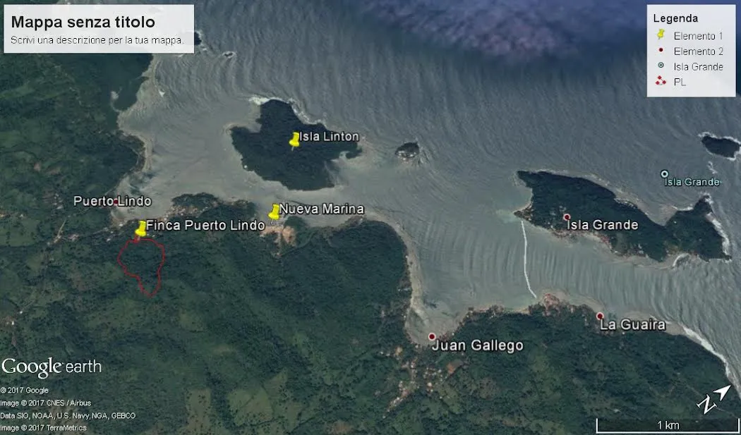 8-HECTARE JUNGLE PROPERTY FOR SALE NEAR ISLA GRANDE, COLÓN, PANAMA