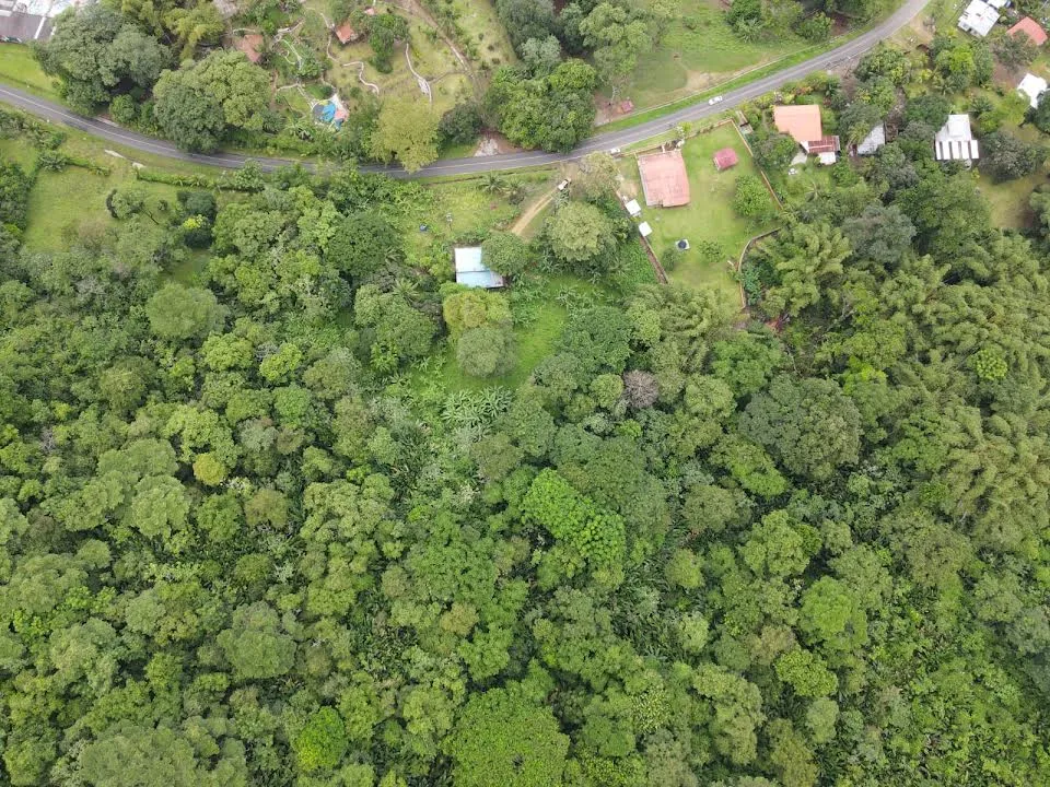 8-HECTARE JUNGLE PROPERTY FOR SALE NEAR ISLA GRANDE, COLÓN, PANAMA