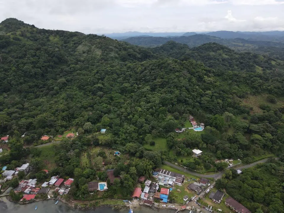 8-HECTARE JUNGLE PROPERTY FOR SALE NEAR ISLA GRANDE, COLÓN, PANAMA