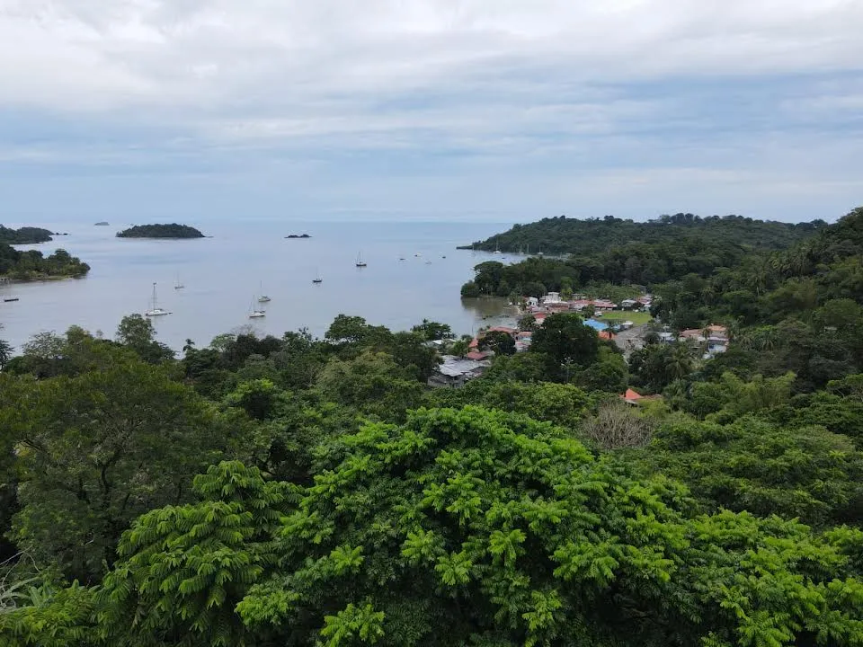 8-HECTARE JUNGLE PROPERTY FOR SALE NEAR ISLA GRANDE, COLÓN, PANAMA