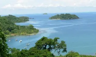 8-HECTARE JUNGLE PROPERTY FOR SALE NEAR ISLA GRANDE, COLÓN, PANAMA, Colon
