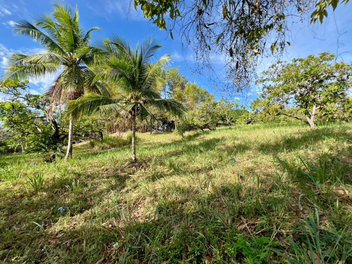 Land for sale in Playa Corona, Panama