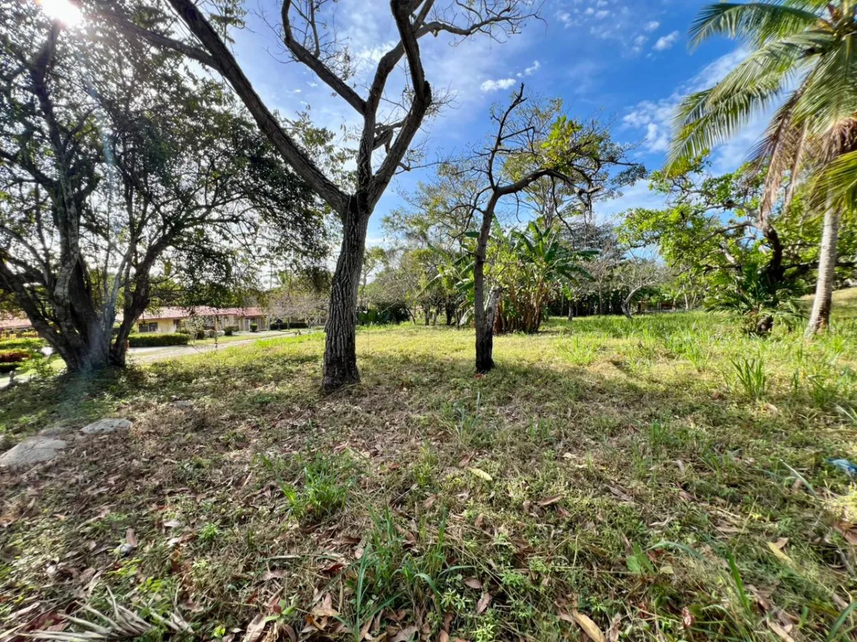 Land for sale in Playa Corona, Panama
