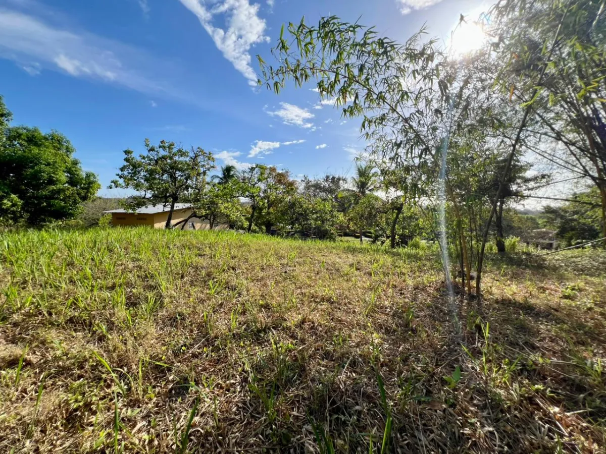 Land for sale in Playa Corona, Panama