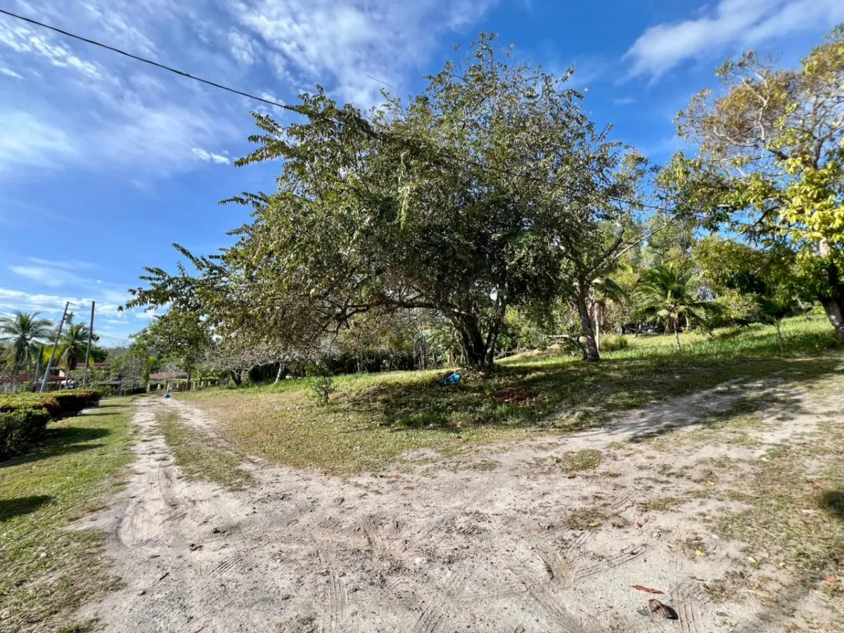 Land for sale in Playa Corona, Panama