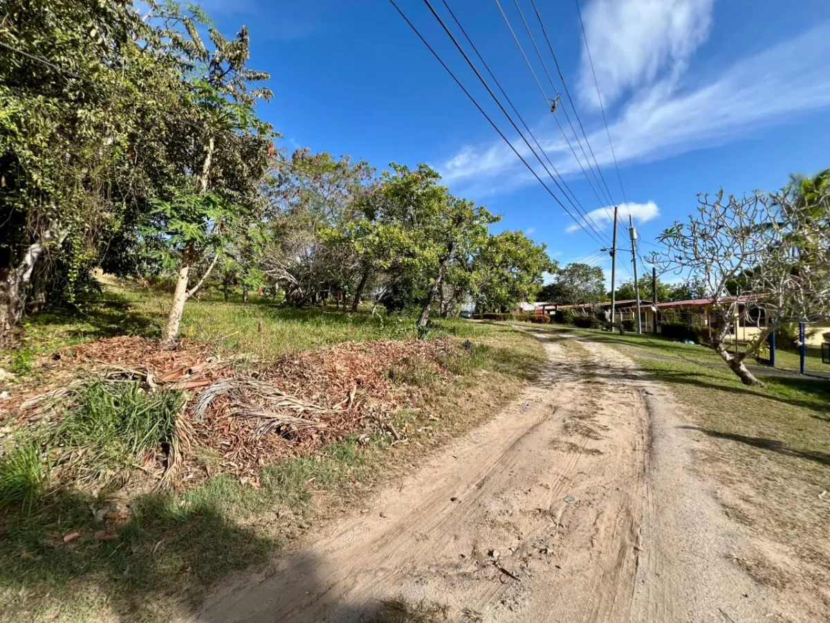 Land for sale in Playa Corona, Panama