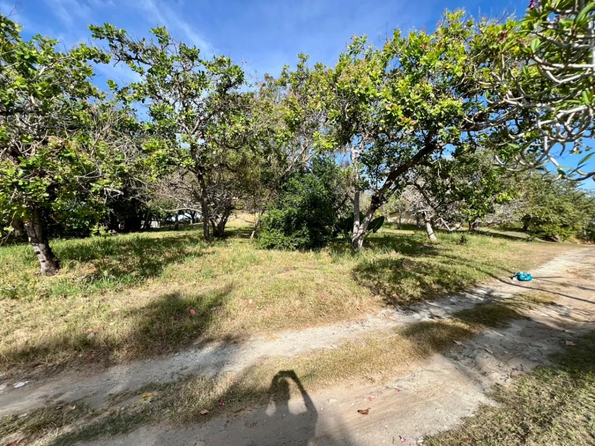 Land for sale in Playa Corona, Panama