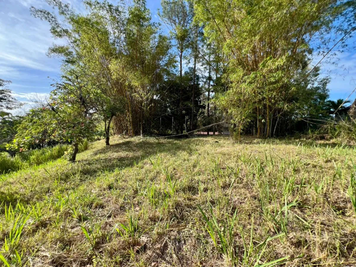 Land for sale in Playa Corona, Panama