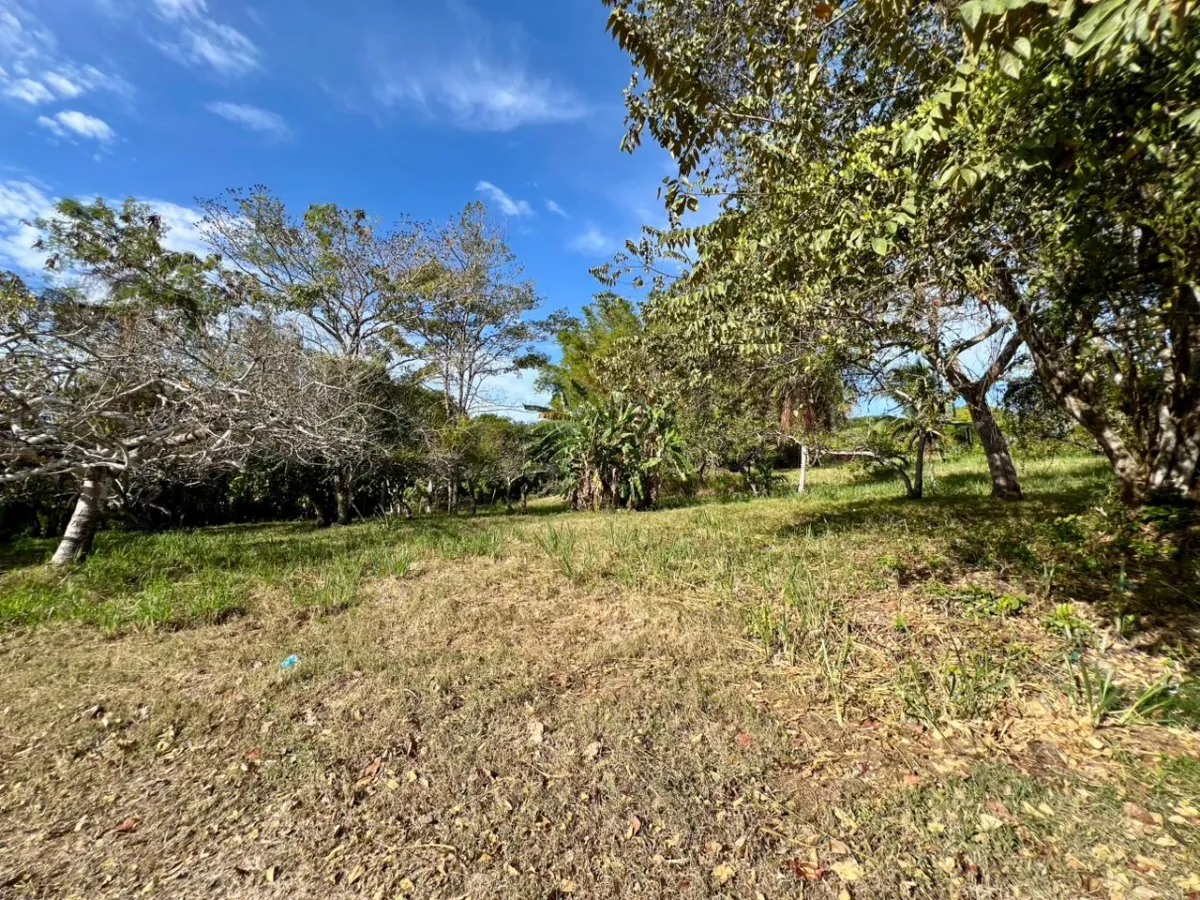 Land for sale in Playa Corona, Panama