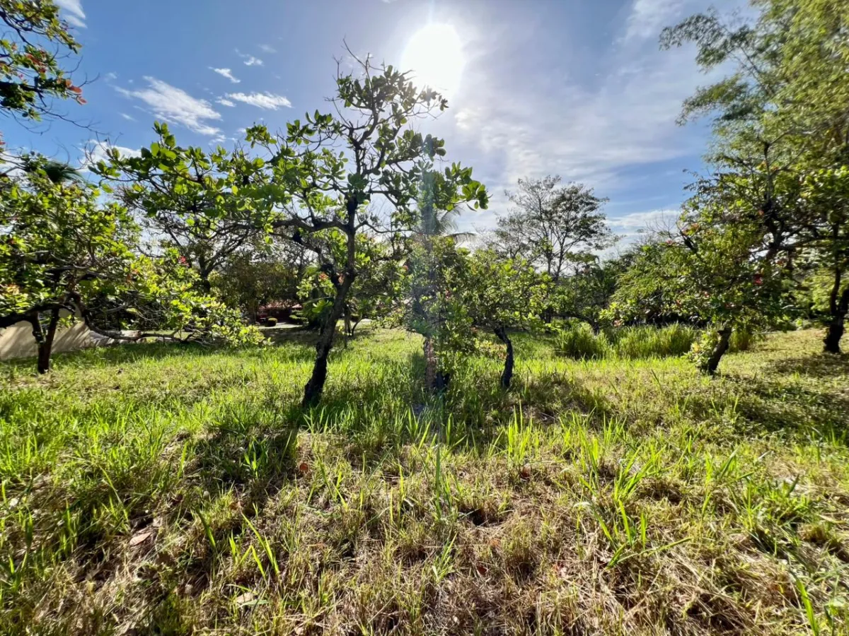 Land for sale in Playa Corona, Panama