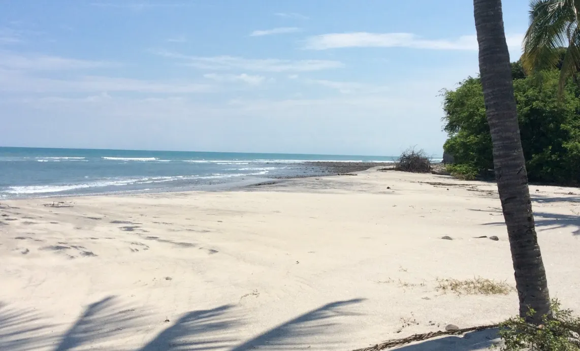 Land for sale in Playa Corona, Panama