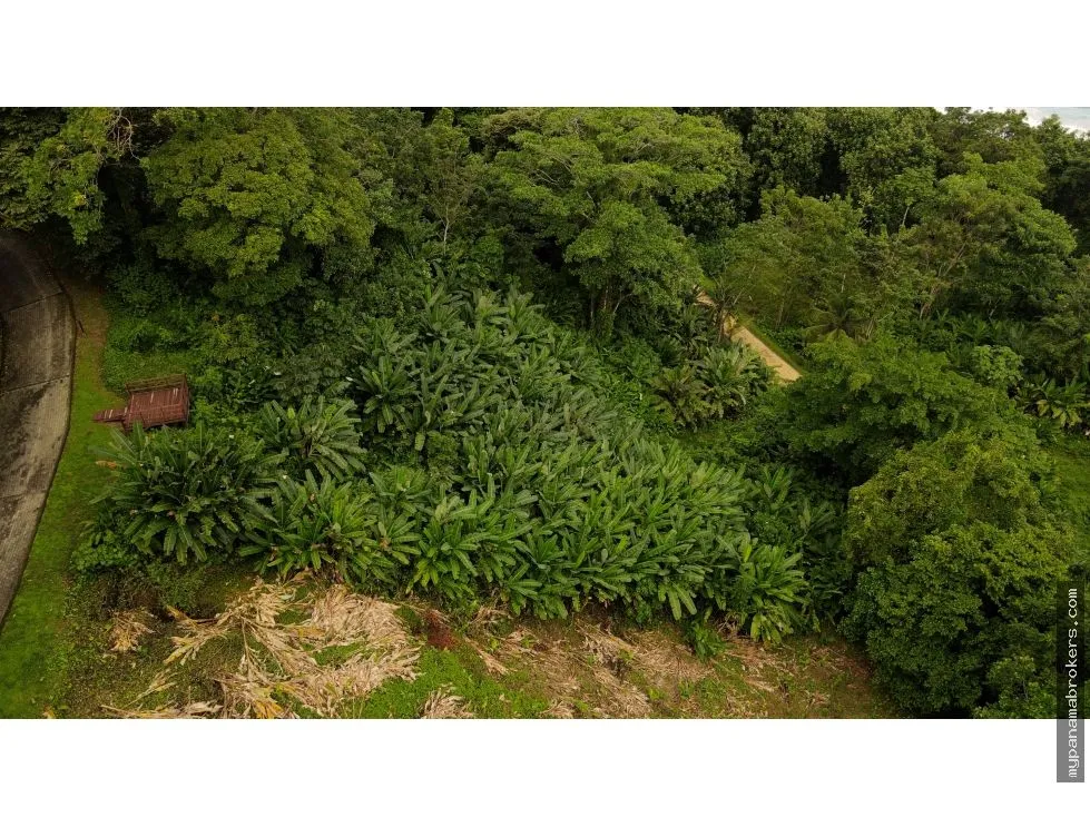 Lot for Sale in Bocas del Toro, Panama