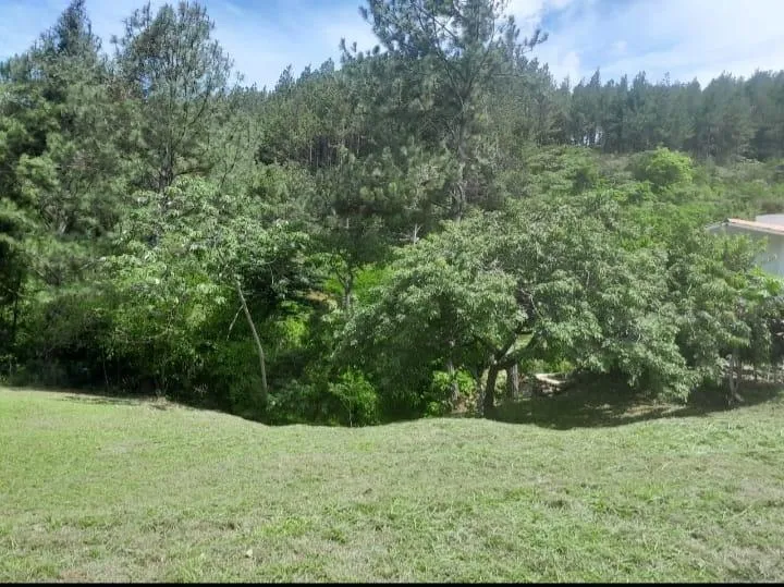 Land at an Excellent Price in Altos del María