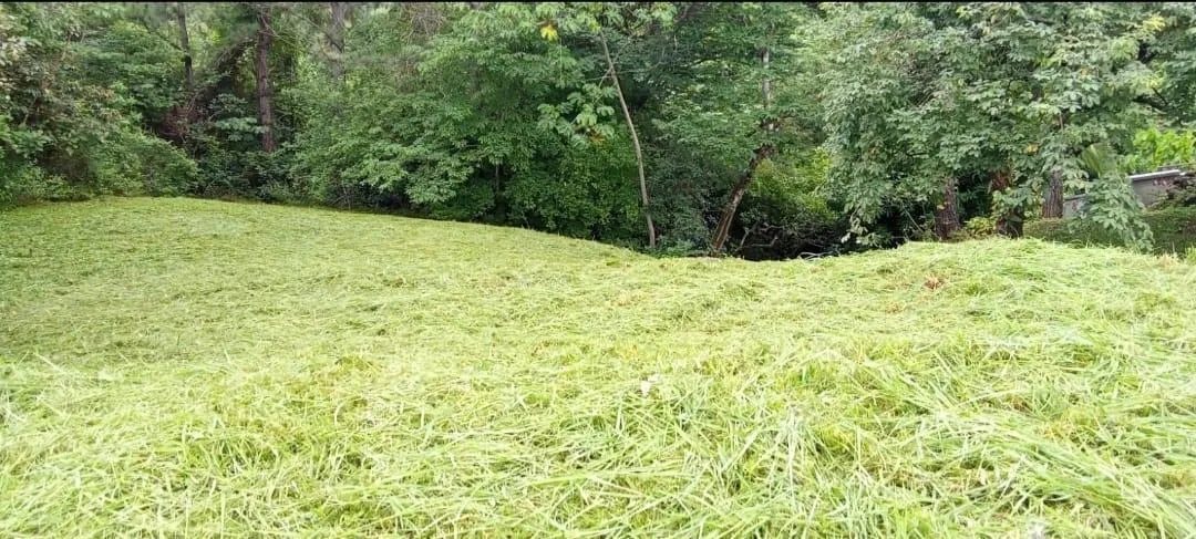 Land at an Excellent Price in Altos del María
