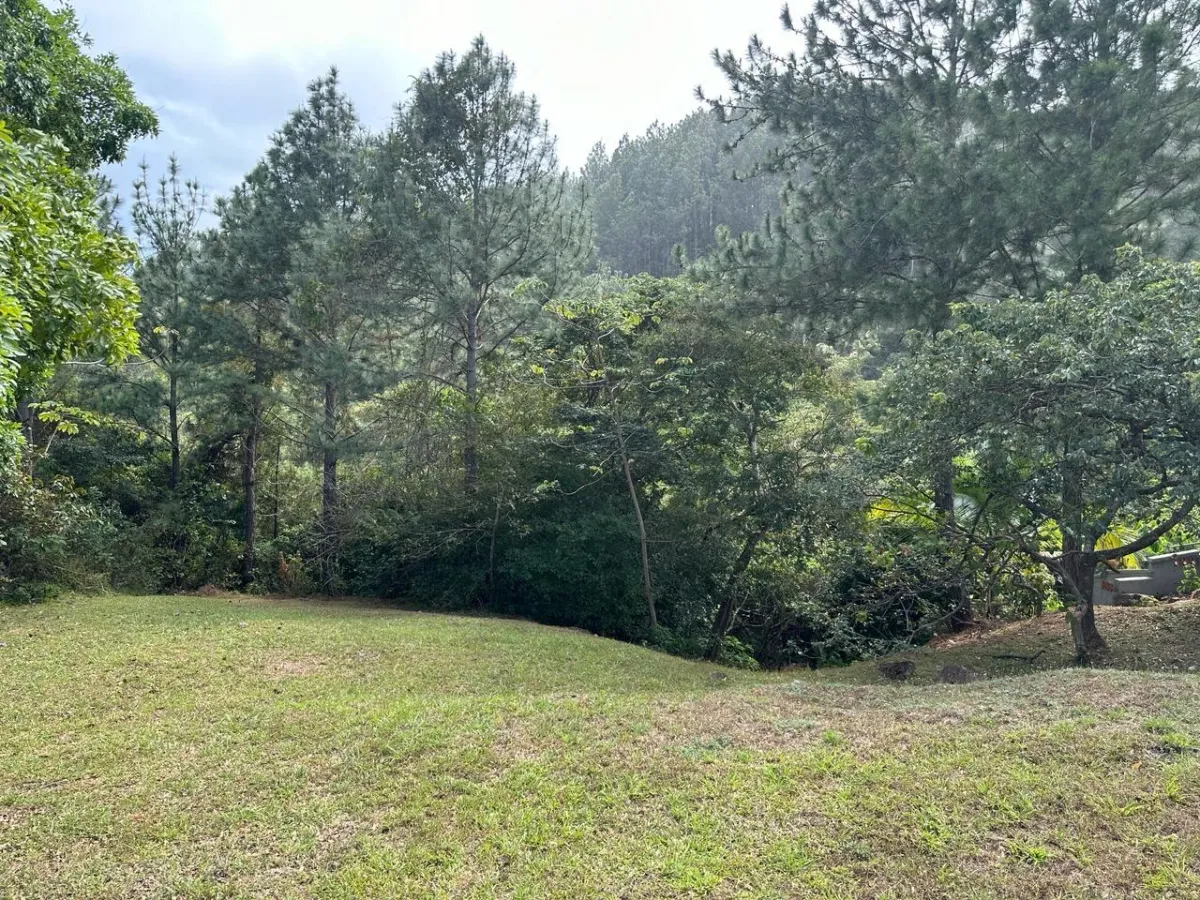 Land at an Excellent Price in Altos del María