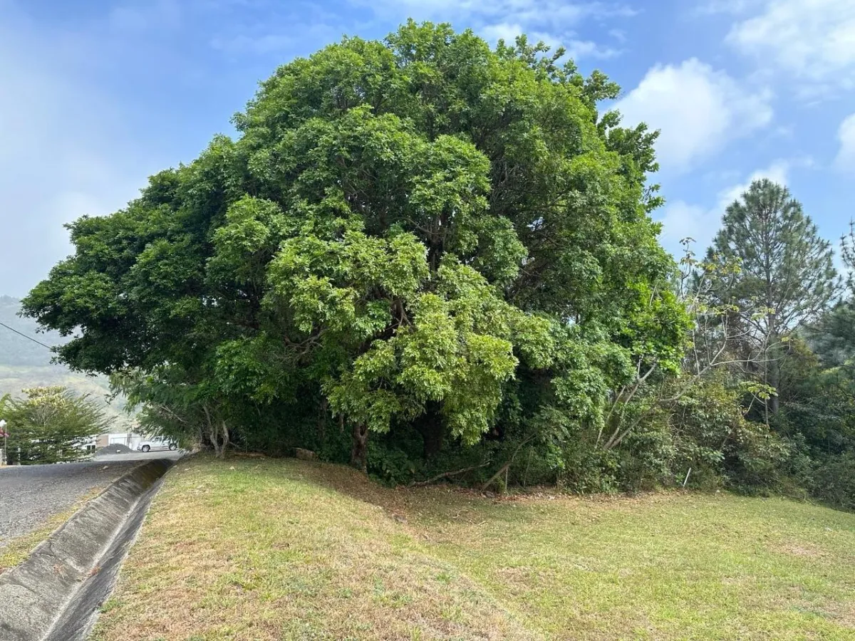 Land at an Excellent Price in Altos del María