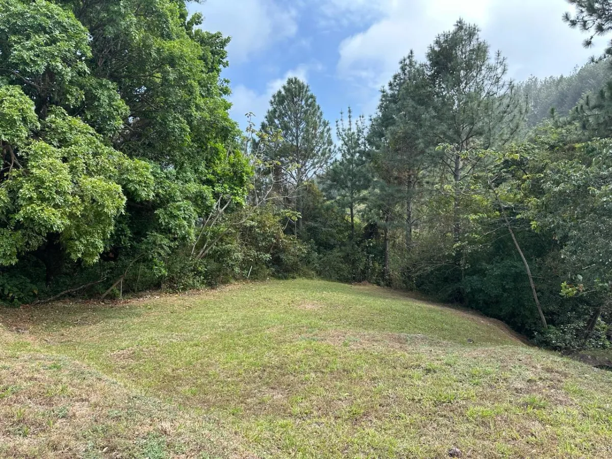 Land at an Excellent Price in Altos del María