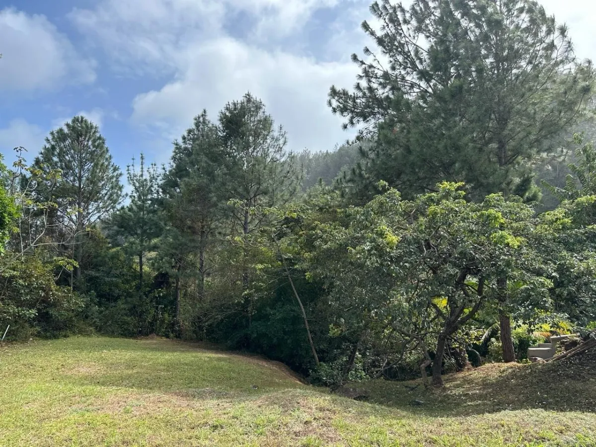 Land at an Excellent Price in Altos del María