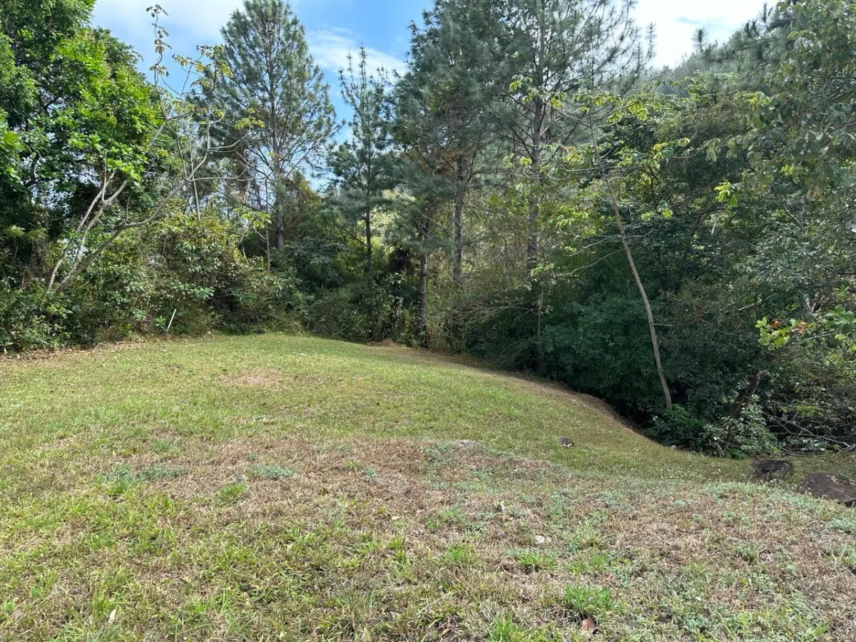 Land at an Excellent Price in Altos del María
