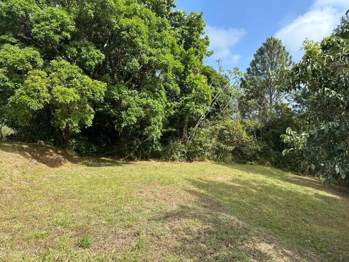 Land at an Excellent Price in Altos del María