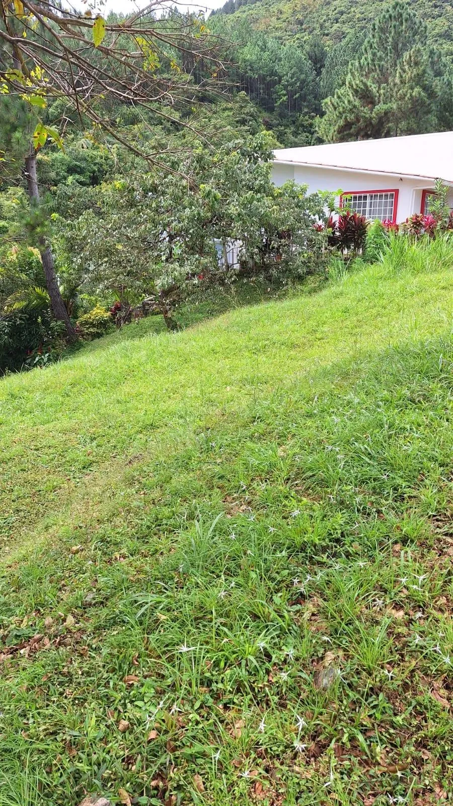 Land at an Excellent Price in Altos del María