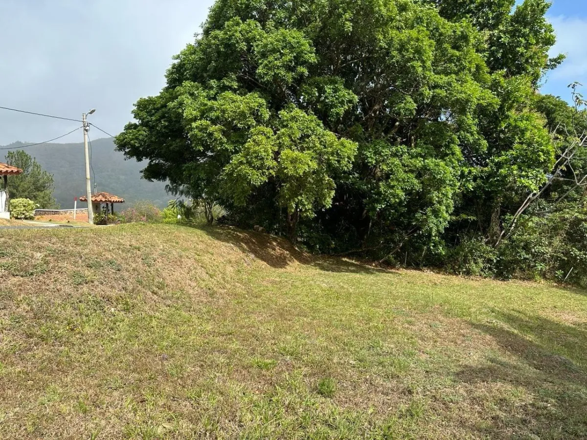 Land at an Excellent Price in Altos del María