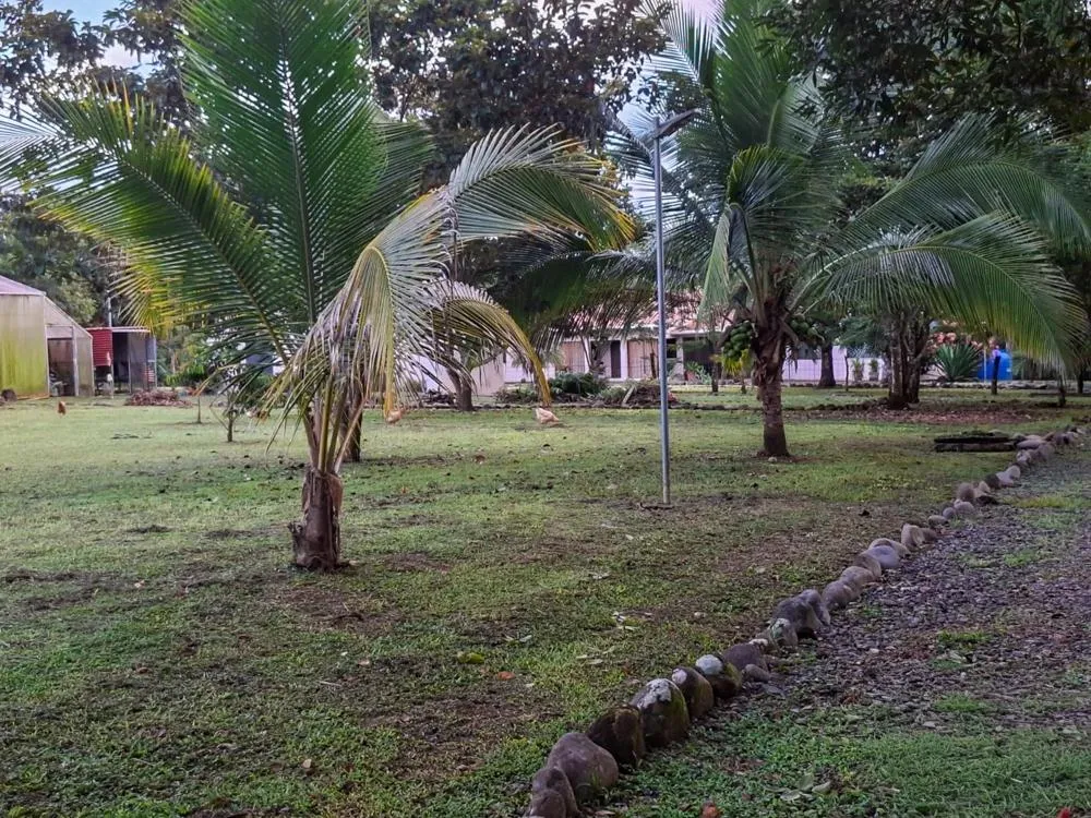 Casa Frente al Río con Invernadero en Dos Ríos