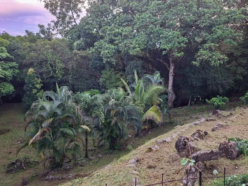 Casa Frente al Río con Invernadero en Dos Ríos