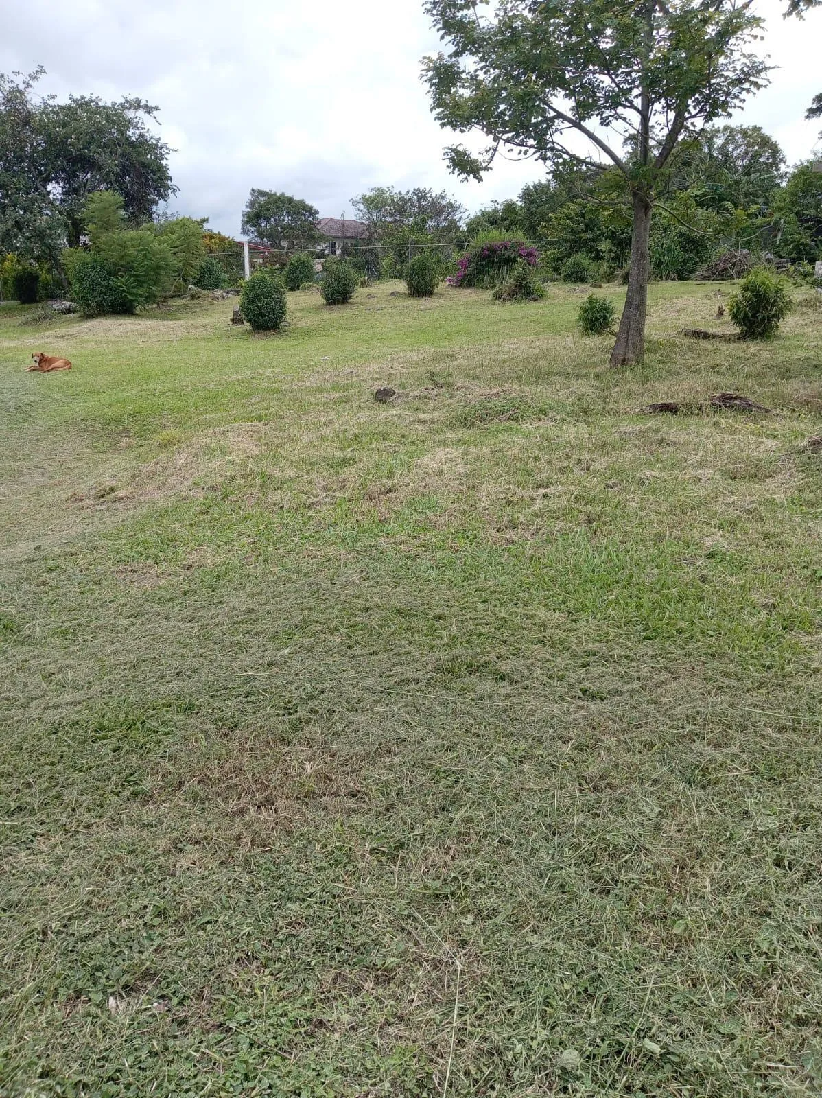 VENTA DE LOTE EN VOLCANCITO BOQUETE