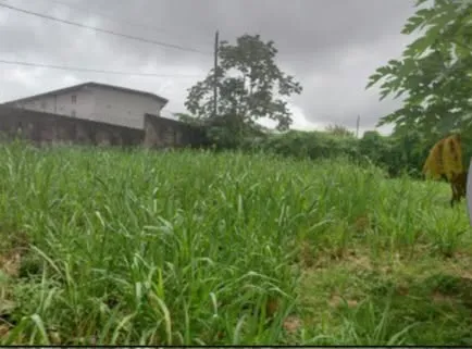 VENTA DE TERRENO EN RÍO ABAJO