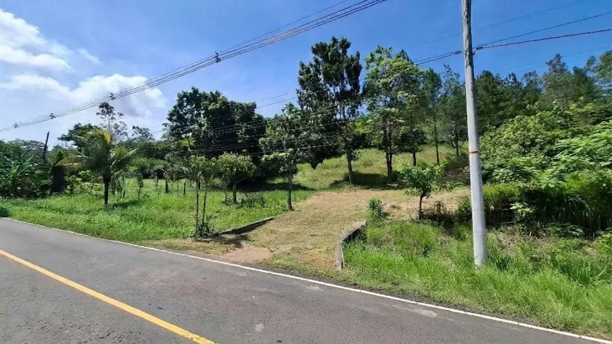 BEJUCO / CHAME - TERRENO DE 5 HECTAREAS EN VENTA