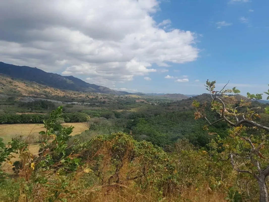 BEJUCO / CHAME - TERRENO DE 5 HECTAREAS EN VENTA