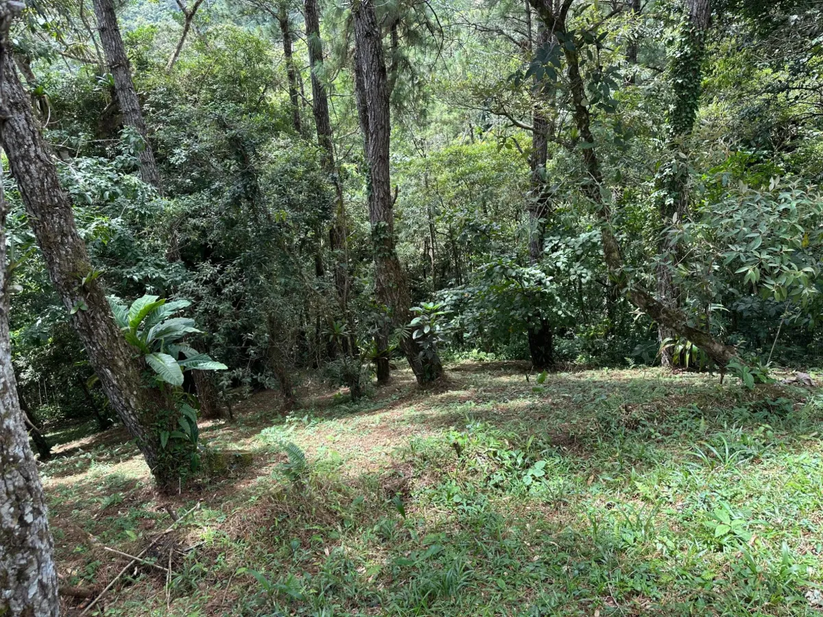 Residential Lot in Altos del Maria