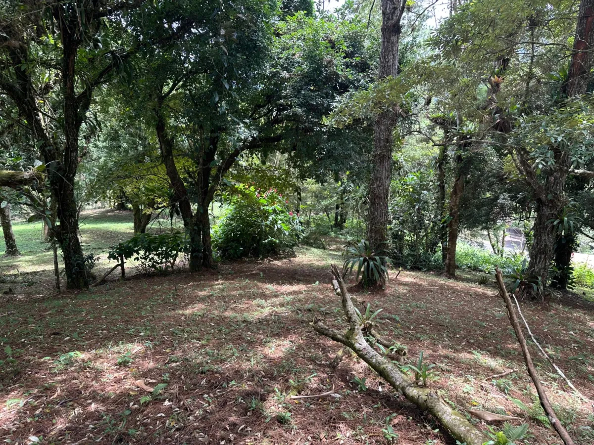 Residential Lot in Altos del Maria