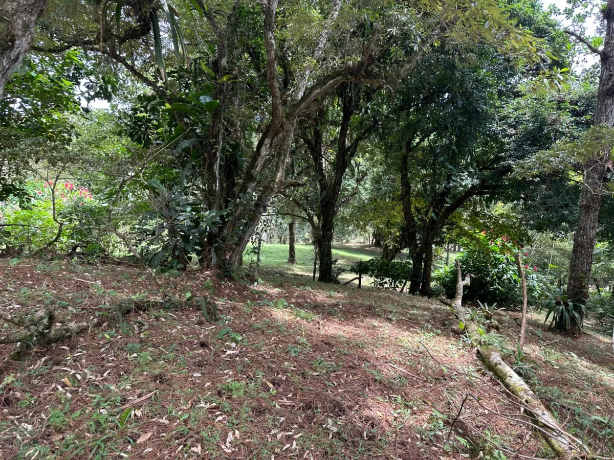 Residential Lot in Altos del Maria