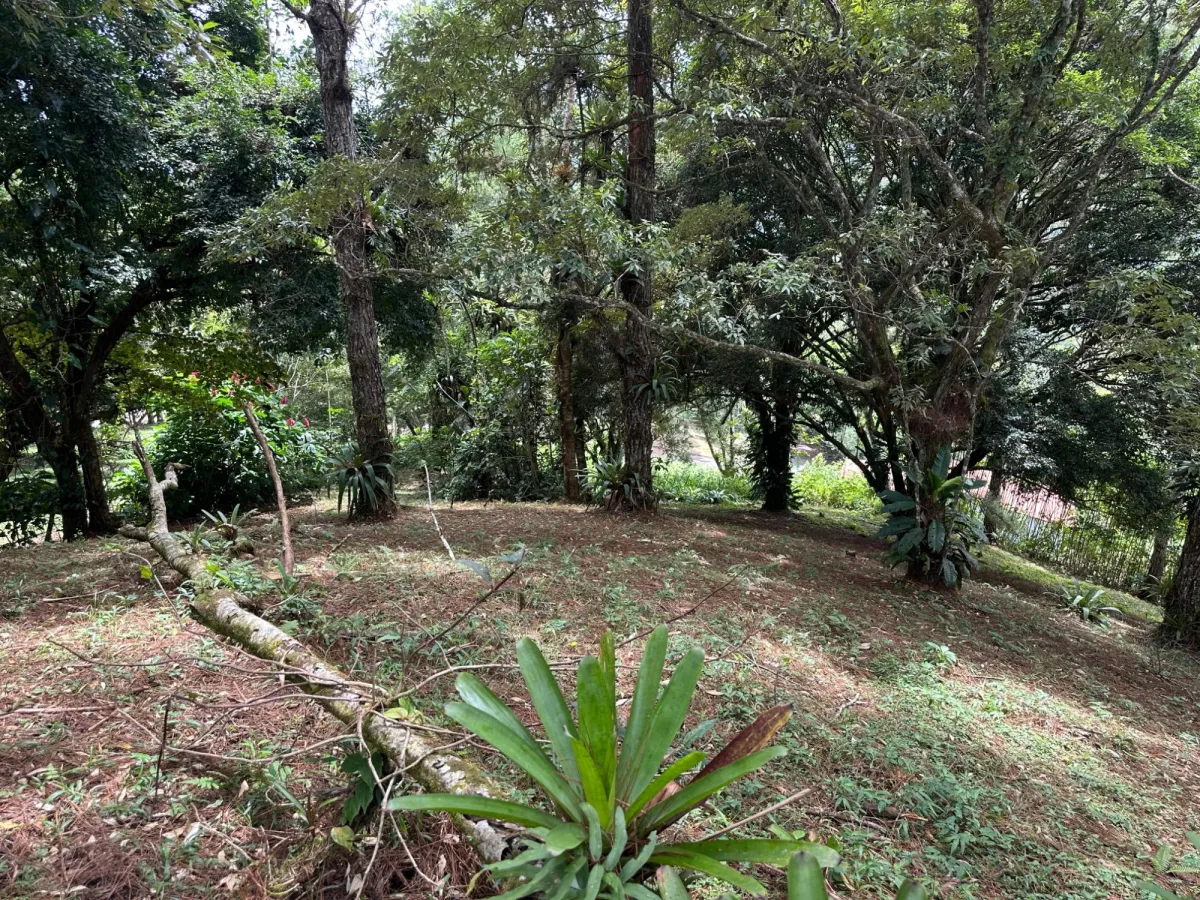 Residential Lot in Altos del Maria