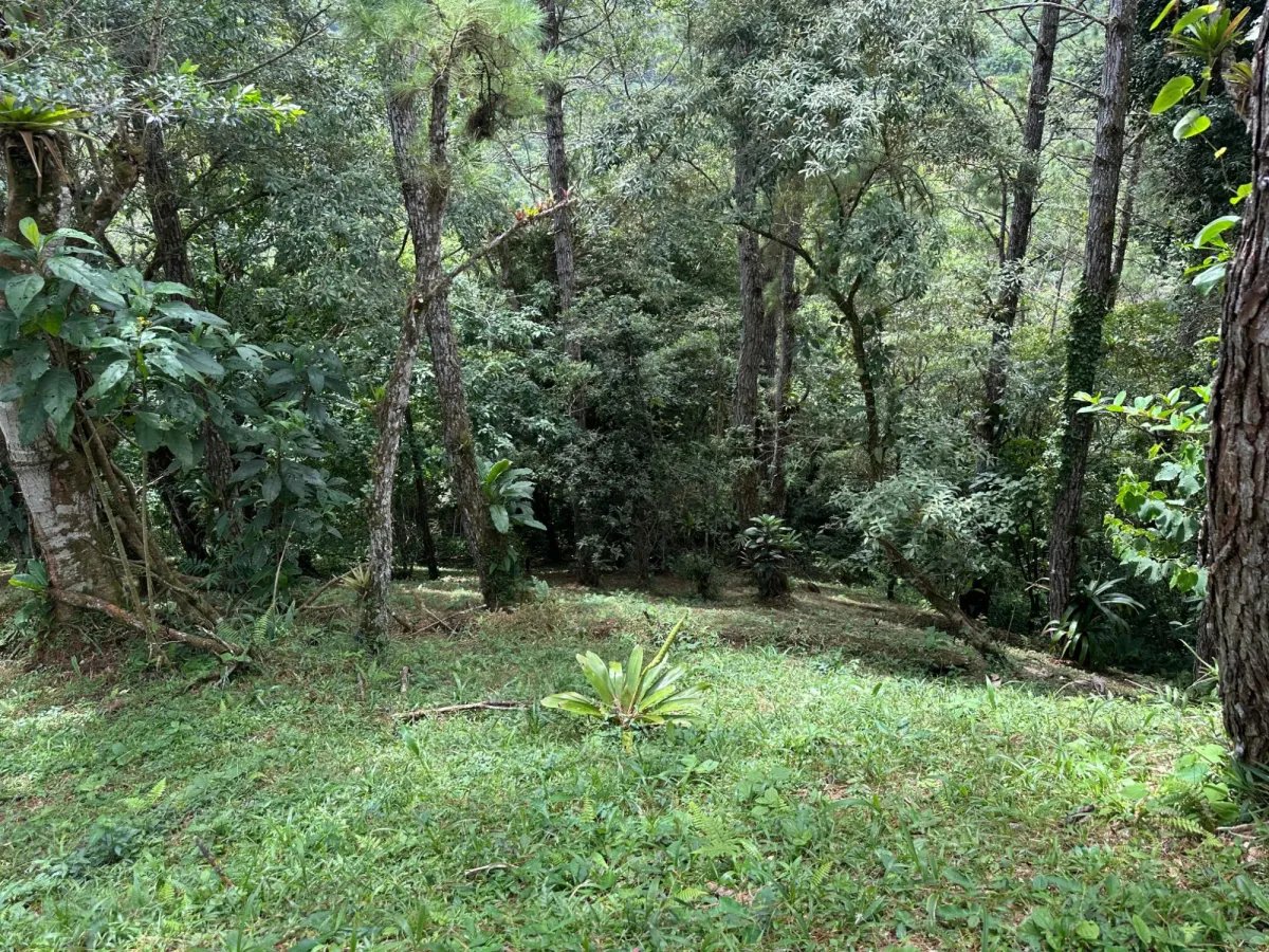 Residential Lot in Altos del Maria