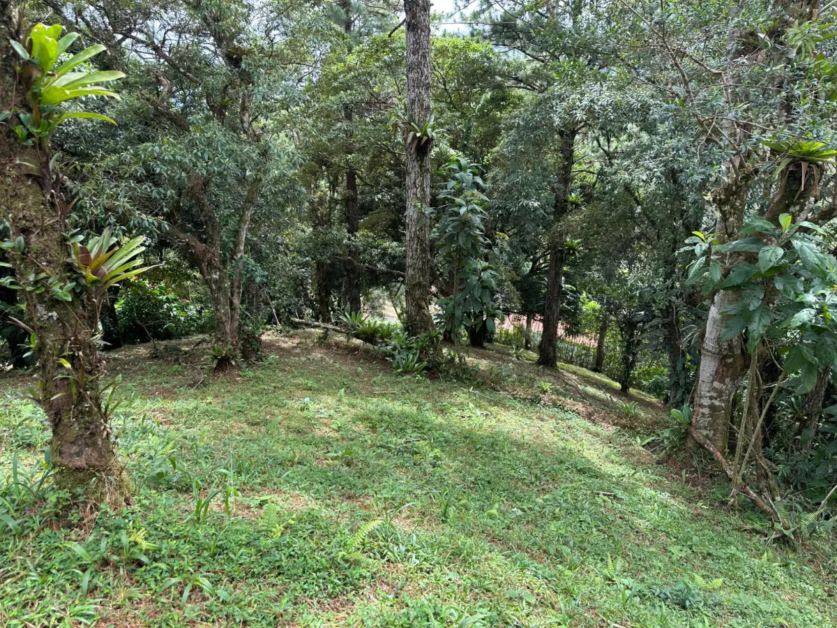Residential Lot in Altos del Maria