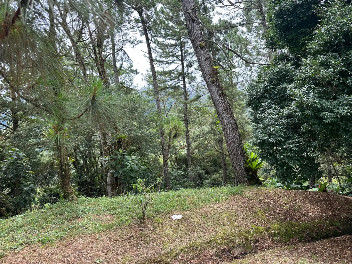 Residential Lot in Altos del Maria