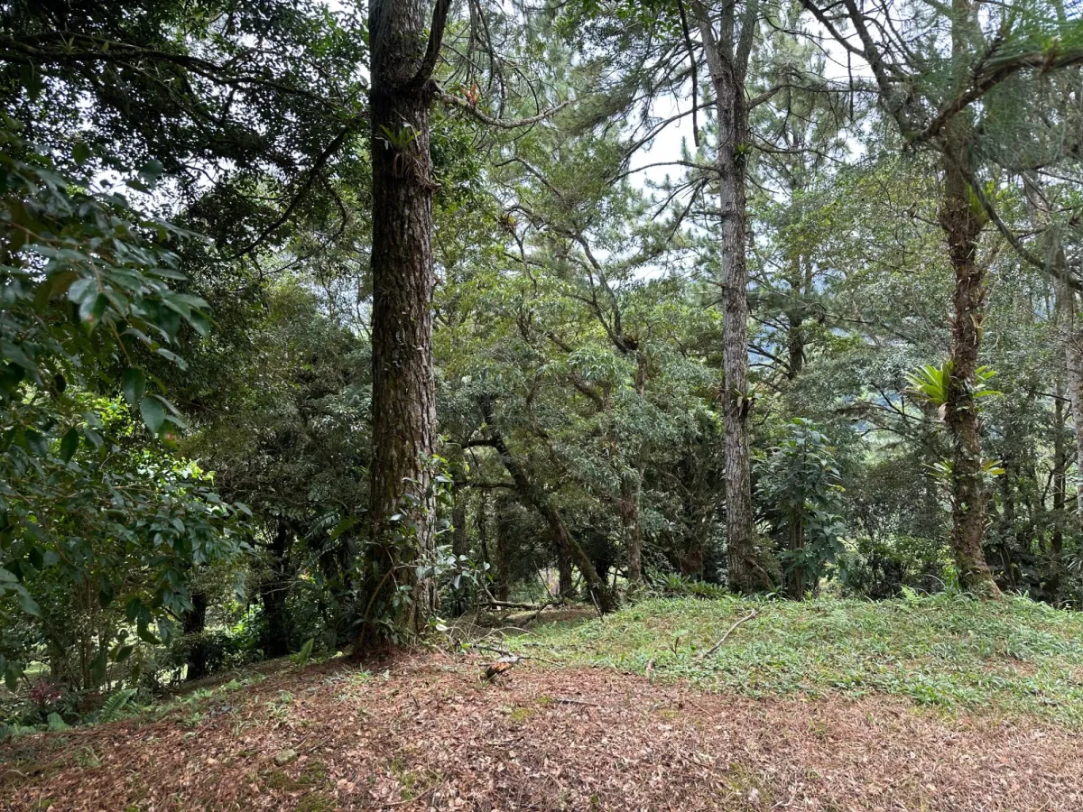 Residential Lot in Altos del Maria