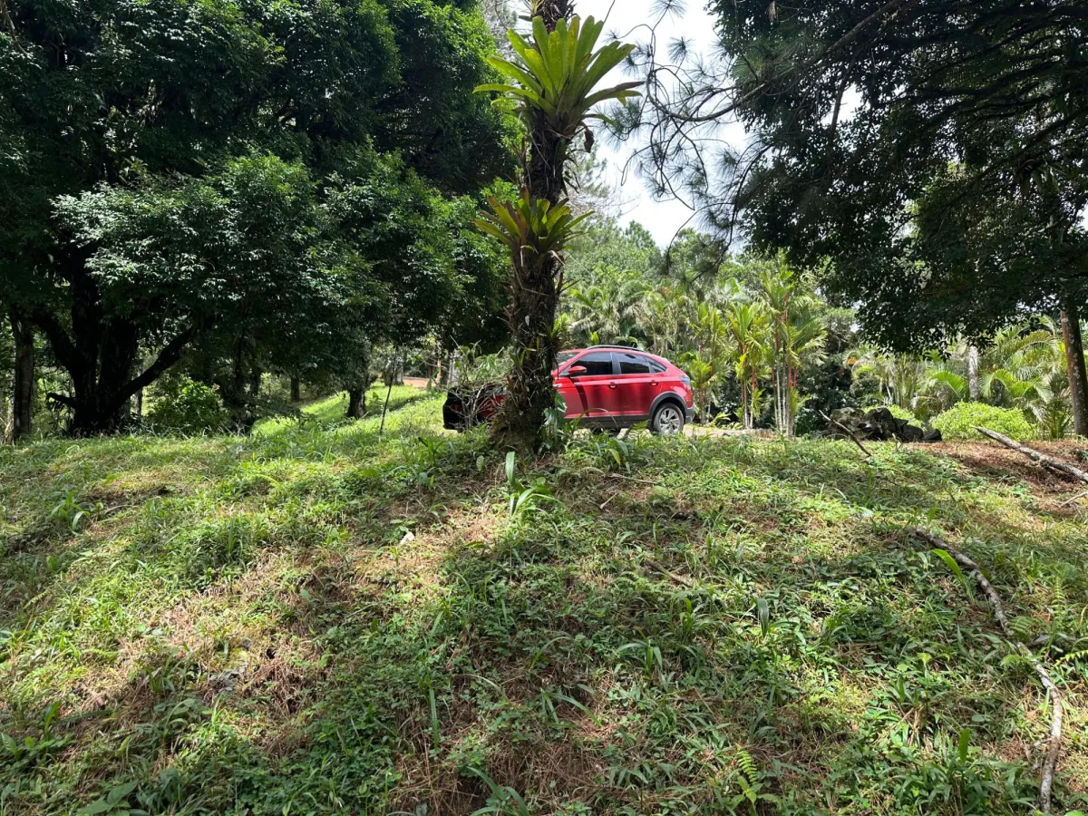 Residential Lot in Altos del Maria