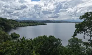 Terreno agrícola de 110 hectáreas frente al mar