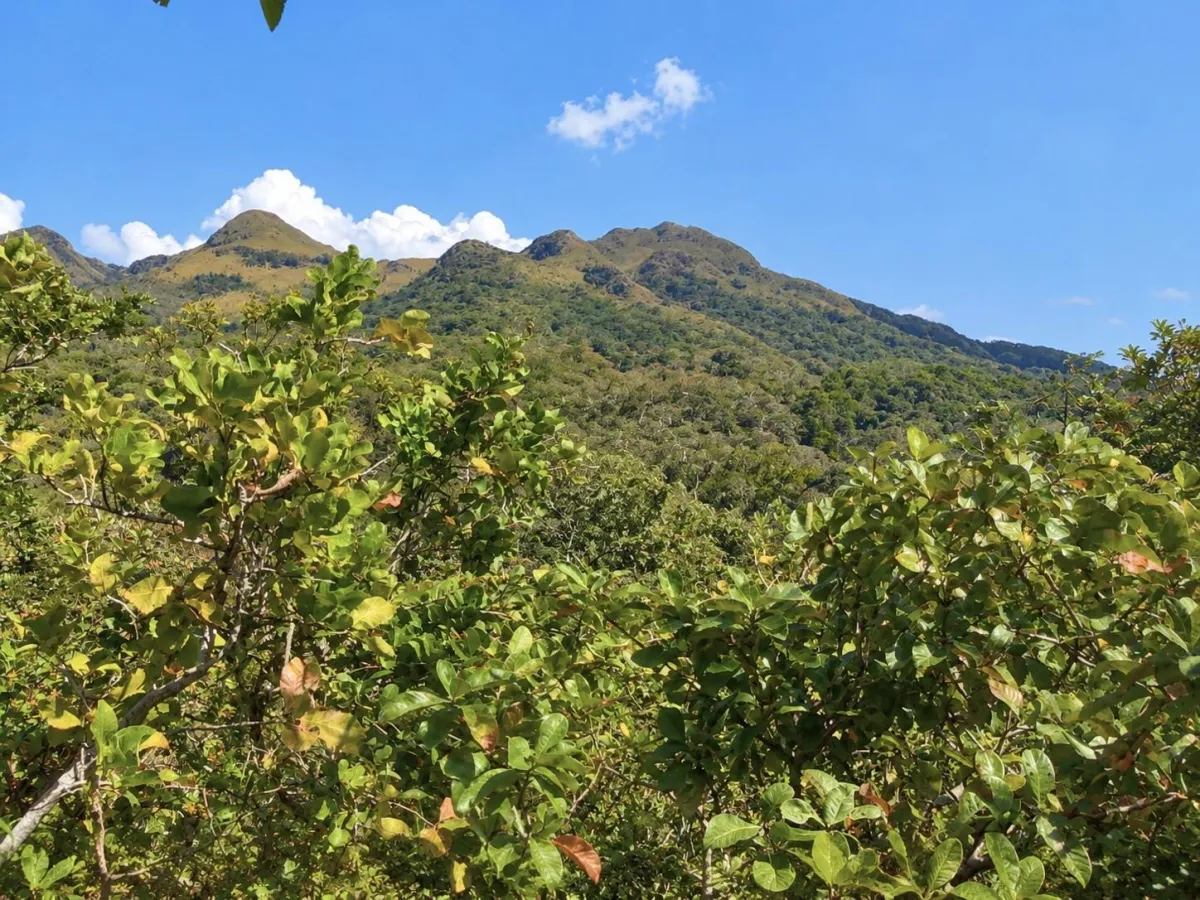 Land for Sale in Punta Chame y Nueva Gorgona