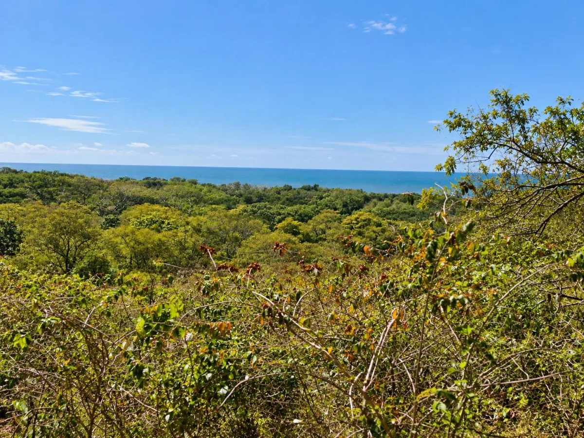 Land for Sale in Punta Chame y Nueva Gorgona