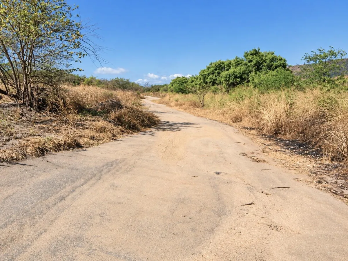Land for Sale in Punta Chame y Nueva Gorgona